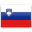 Slovenian language flag