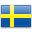 Swedish language flag