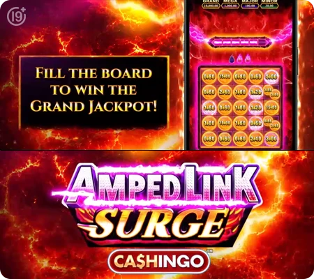Amped Link™ Surge Cashingo™