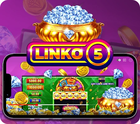 Linko 5™