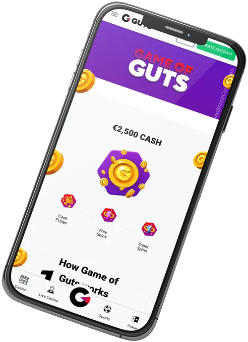 www.Guts.com - Game of Guts Screenshot