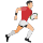Rugby icon