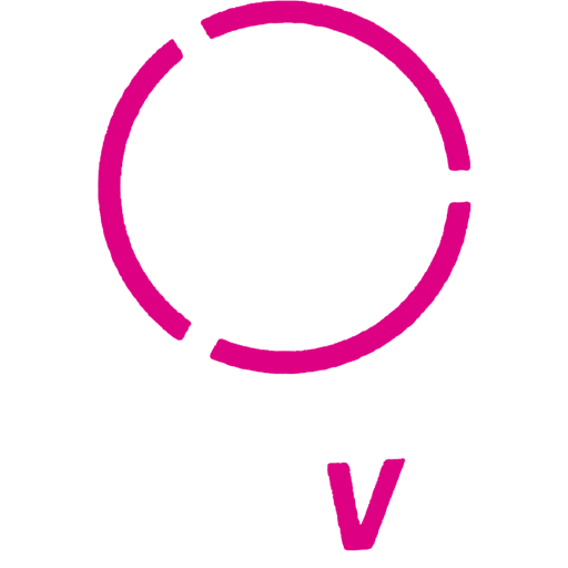 Venezuela Primera Division badge