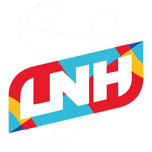 French LNH Division 1 badge