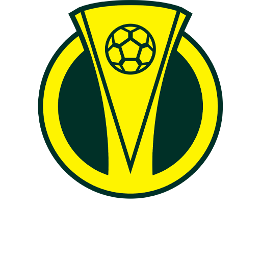 Brazilian Serie C badge