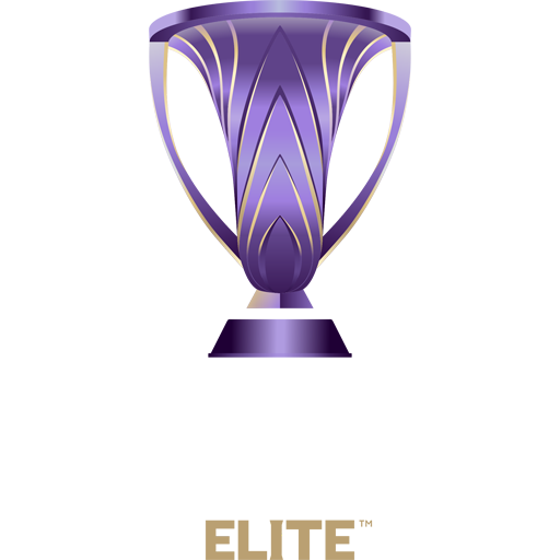 AFC Champions League Elite badge