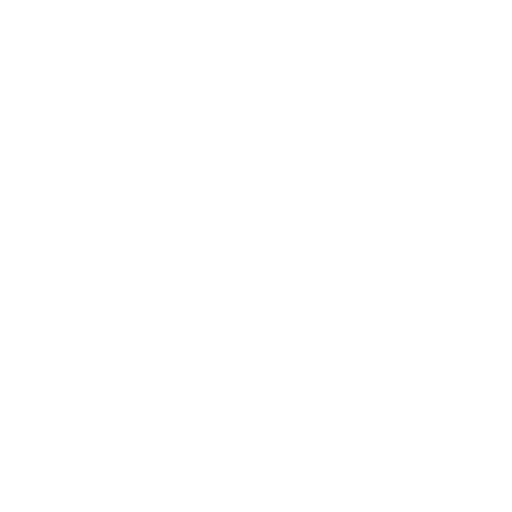 El Salvador Primera Division badge