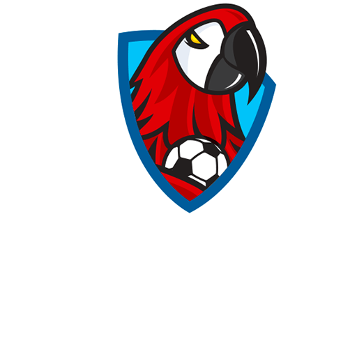 Honduras Liga Nacional de Futbol badge