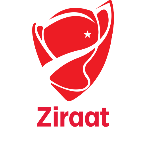 Turkish Cup badge