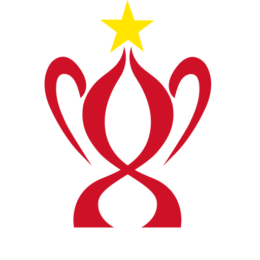 Vietnamese Cup badge