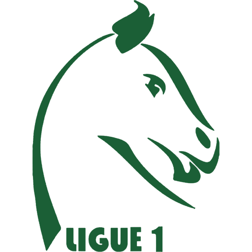 Burkina Faso 1ere Division badge