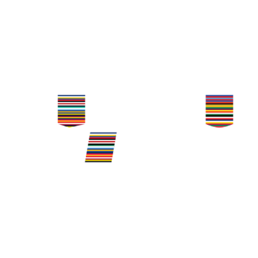 New Zealand National Provincial Championship badge