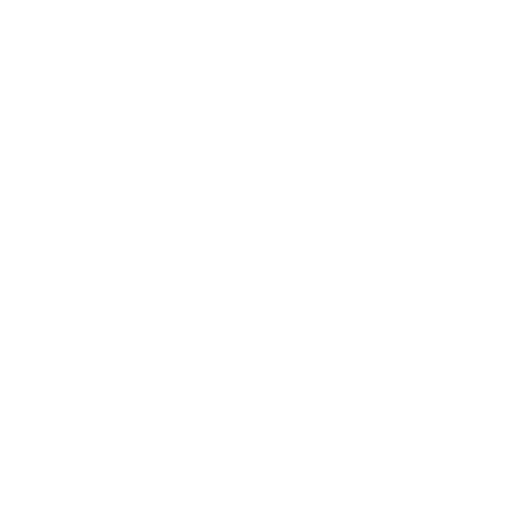 DDT Pro badge