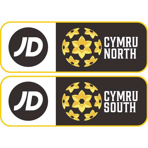Welsh Cymru North-South badge