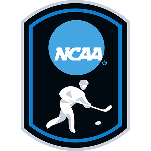 NCAA Division 1 Ice Hockey badge