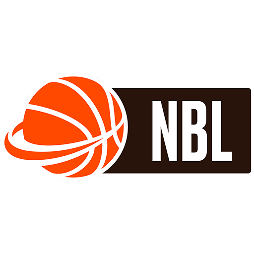 Czech NBL badge