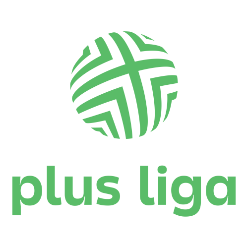 Polish PlusLiga badge