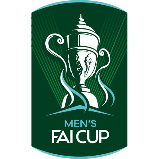 Irish FAI Cup badge