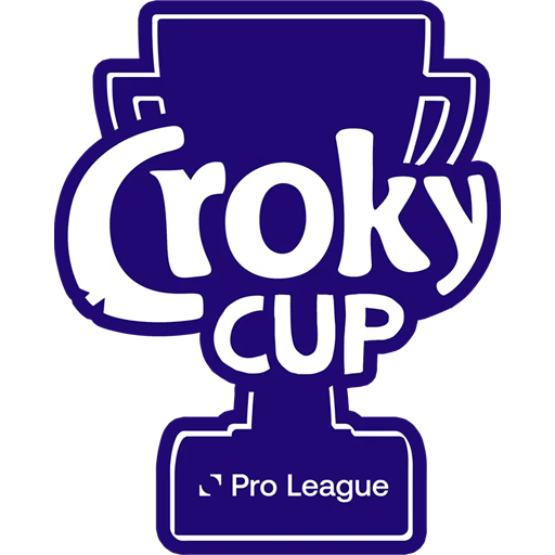Belgian Cup badge