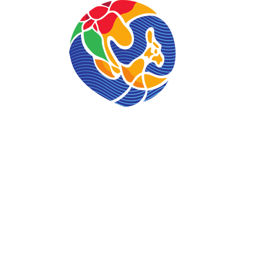 FIFA ASEAN Cup badge