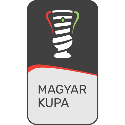 Hungarian Cup badge