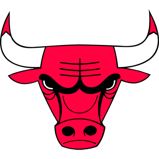 Chicago Bulls badge