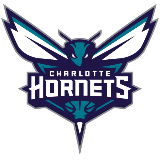 Charlotte Hornets badge