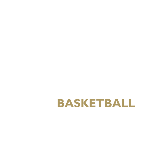 Newcastle Eagles badge
