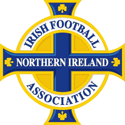 N.Ireland badge