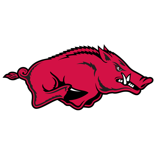 Arkansas badge