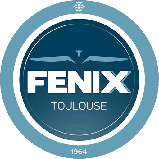 Fenix Toulouse Handball badge