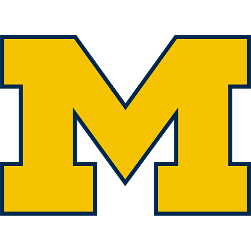 Michigan badge