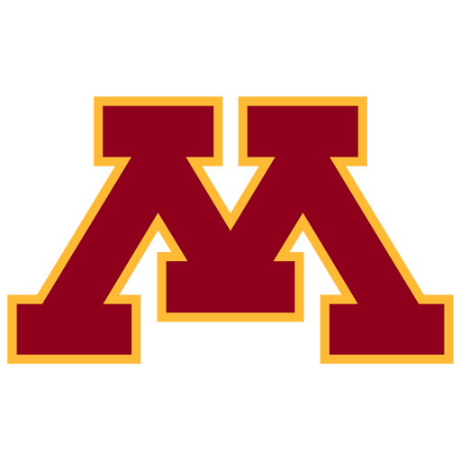 Minnesota badge