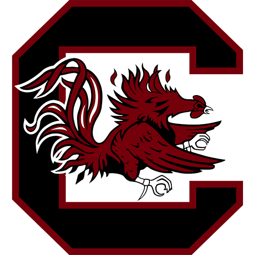 South Carolina badge