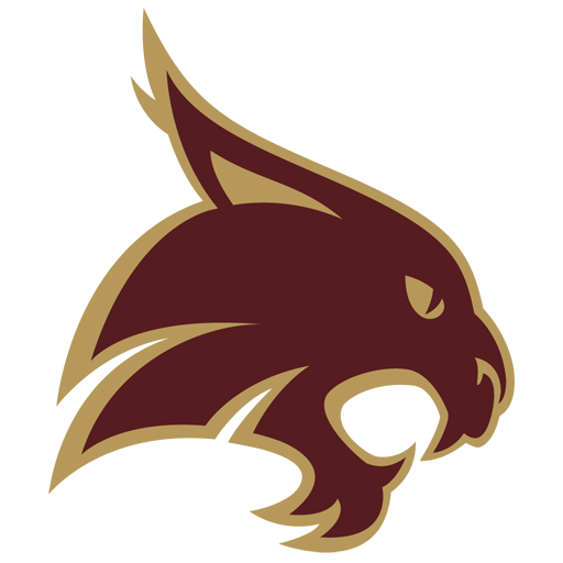 Texas State badge