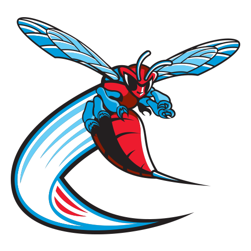Delaware State badge