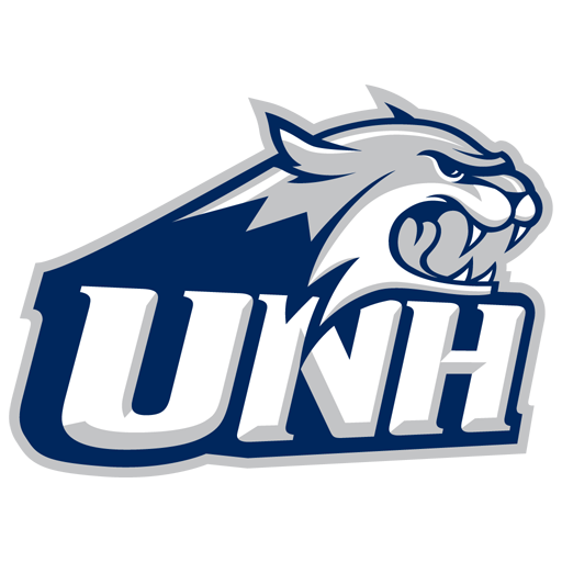 New Hampshire badge