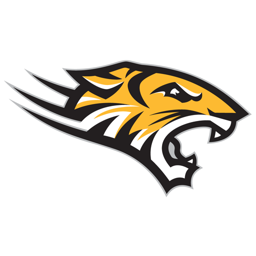 Towson badge