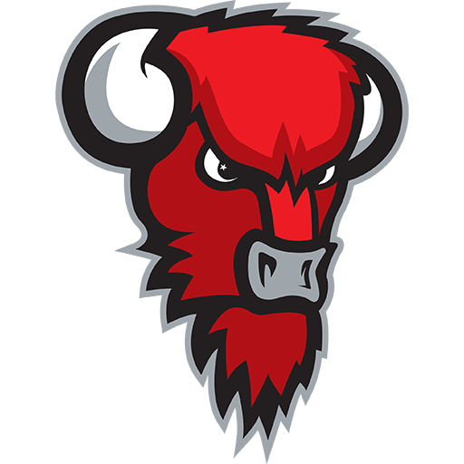 Bisons Loimaa badge