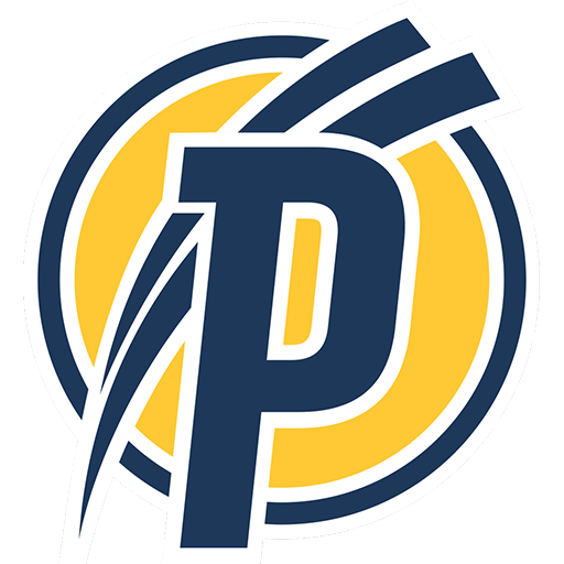 Puskás Akadémia badge