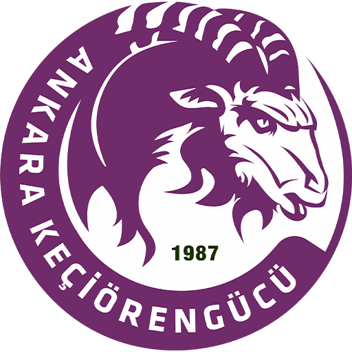 Ankara Keçiörengücü badge
