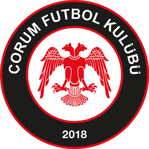Çorum badge