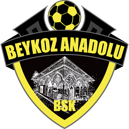 Beykoz Anadolu badge