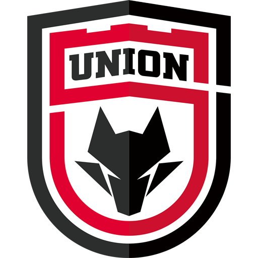 Shaanxi Union badge