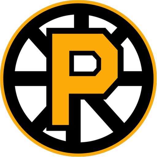Providence Bruins badge