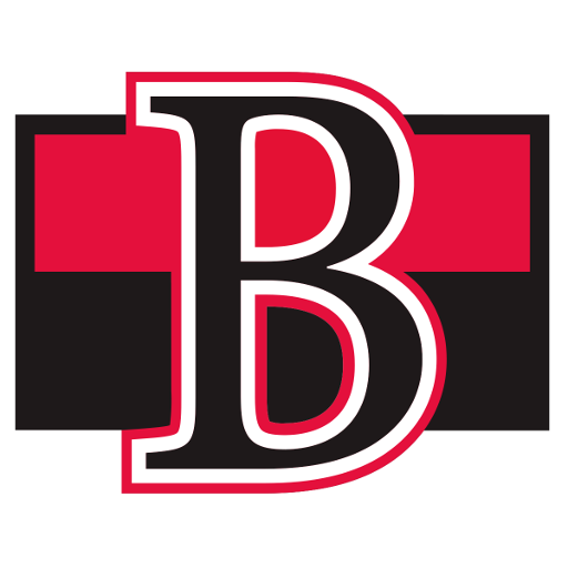 Belleville Senators badge