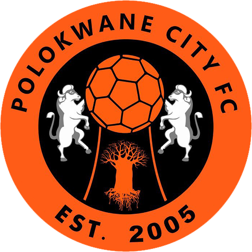 Polokwane City badge
