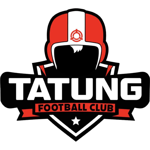 Tatung badge