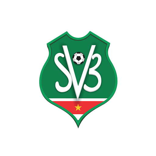 Suriname badge
