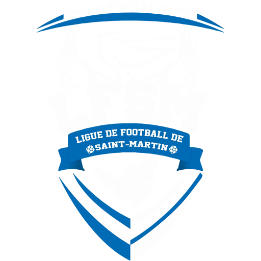 St Martin badge
